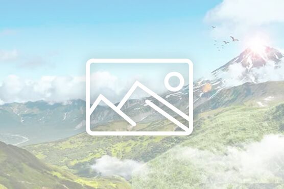 初入倉儲領域不懂行，以為倉庫大就是好。搭建貨架，更上一層樓。